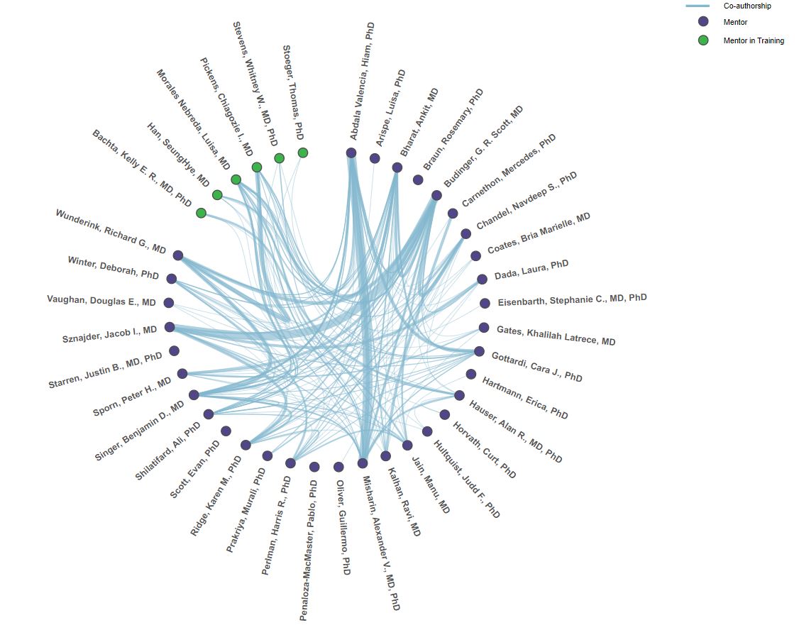 Chord chart showing co-authorship and collaboration between NULSTP faculty mentors